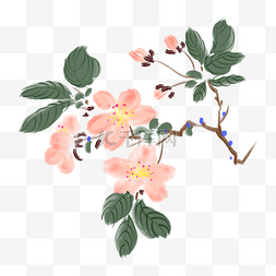 手绘水墨樱花插画