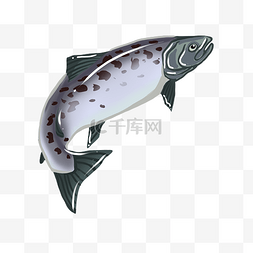 海鲜小鱼手绘插画