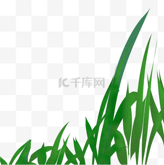 卡通草叶png下载