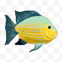彩色海洋鱼类