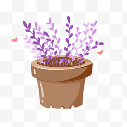 紫色薰衣草盆栽插画