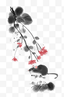 手绘吃野草的老鼠插画