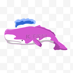 粉色鲸鱼图片_粉色鲸鱼动物