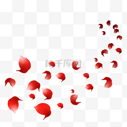大红色的花瓣手绘插画