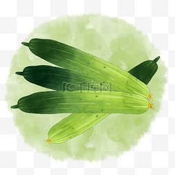 手绘绿色蔬菜图片_水彩蔬菜黄瓜下载
