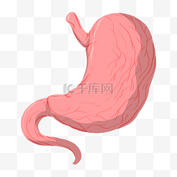 手绘人体器官胃