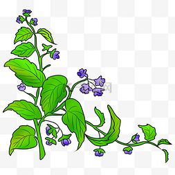 紫色的小花手绘插画