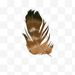 棕色手绘质感美丽羽毛插画