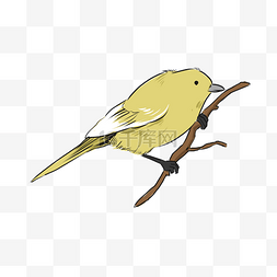 树枝小鸟手绘卡通图片_手绘卡通黄色小鸟