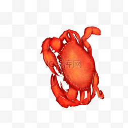 红色重阳节传统食物螃蟹美食手绘