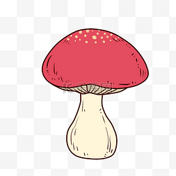 蘑菇蘑菇图片_红色蘑菇香菇