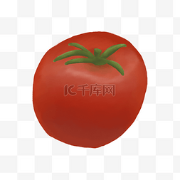 西红柿拌面图片_食材红番茄