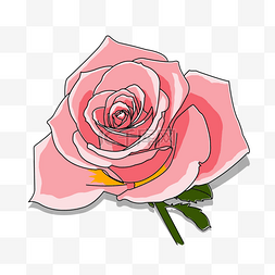 烂漫情人节520礼物花朵玫瑰