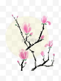 中国古风粉红色玉兰花分图层