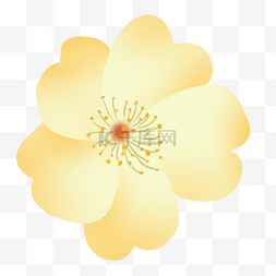 浅黄色的花朵图片_黄色的花朵免抠图