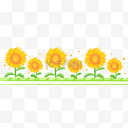 植物线图片_向日葵分割线插画