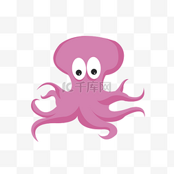 海洋生物紫色章鱼