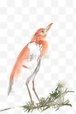 橙色的鸟水彩画PNG免抠素材