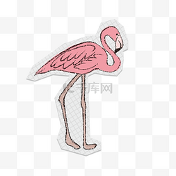 粉色的火烈鸟插画