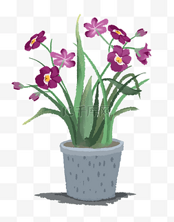 开紫色兰花的兰花盆子
