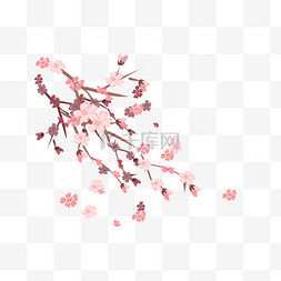 粉色装饰插画图片_日本的樱花装饰插画