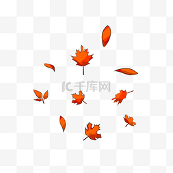 漂浮的枫叶图片_飘落的枫叶树叶插画