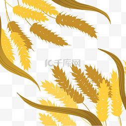 大米成熟图片_手绘秋天金黄的麦穗1