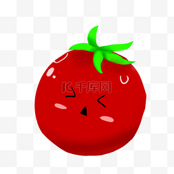番茄调味食物