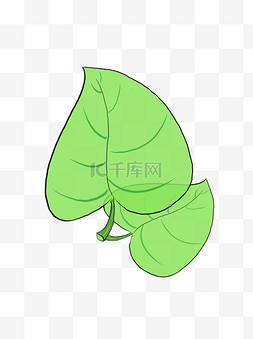 手绘绿叶植物图片_手绘绿叶植物元素