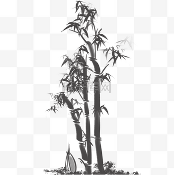 黑白竹图片-黑白竹图片素材免费下载-千库网 