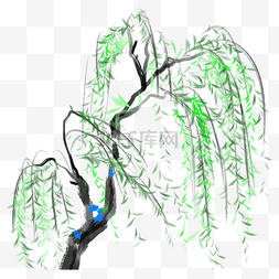 柳树扁平插画图片_绿色垂柳植物自然环境