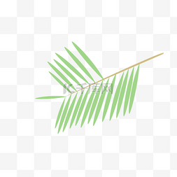 绿色装饰手绘叶子图片_手绘绿色植物椰树叶子