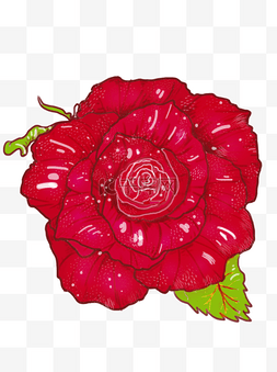 手绘红玫瑰花透明底花朵素材元素