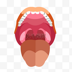牙齿结构图片_手绘人体器官人体五官张开的嘴和