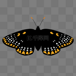 黑色斑点手绘花蝴蝶psd免抠图