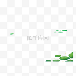 绿色植物浮萍元素