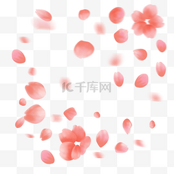 粉色花瓣漂浮素材图片_粉色色漂浮花瓣插画