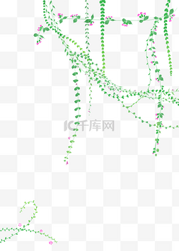 藤蔓绿色植物素材图片_绿植装饰花藤插画
