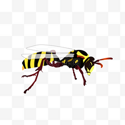 3d立体矢量图图片_昆虫逼真黄蜂3D立体矢量图