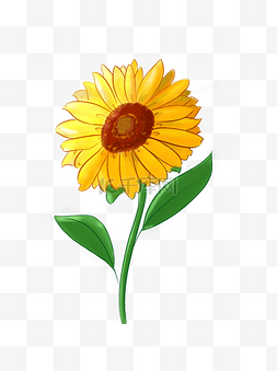 清新可爱图片_手绘清新可爱向日葵黄色