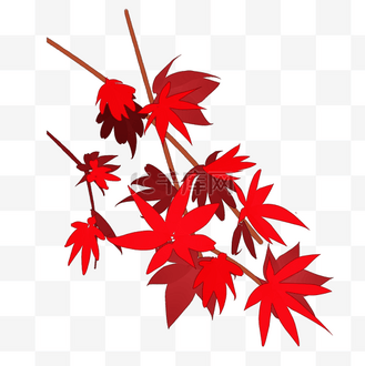手绘枫叶图案图片_手绘枫叶图案素材-手绘枫叶图案图片大全-千库网