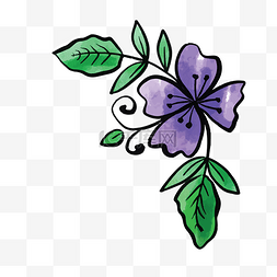 紫色蝴蝶花朵