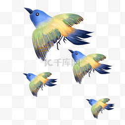 飞翔的蓝色翅膀图片_飞翔的鸟类