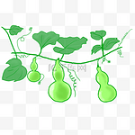 手绘生长的绿色葫芦