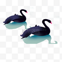  黑天鹅动物 