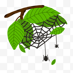 巨型蜘蛛图片_手绘黑色蜘蛛网丝