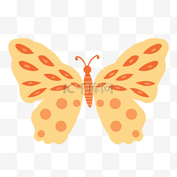 黄色的蝴蝶动物昆虫