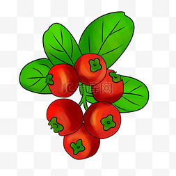 水果蔬菜红色图片_红色小西红柿