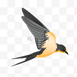 燕子飞行图片_黑色的燕子手绘插画