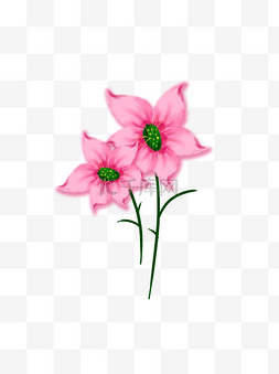 花之唯美粉色小花朦胧美素材